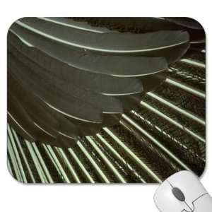  Mouse Pads   Texture   Feather/Feathers (MPTX 133)