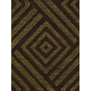   Tribal Chance Turtle by Robert Allen Contract Fabric