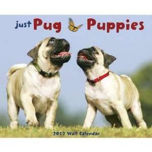  Just Pug Puppies 2012 Wall Calendar