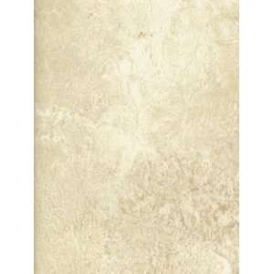  Wallpaper York the Perfect Faux tPF10051