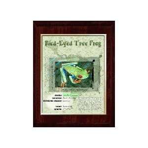   Tree Frog) Animal Planet Products 10 x 13 Plaque with 8 x 10 Gold