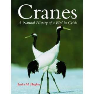  Cranes A Natural History of a Bird in Crisis 