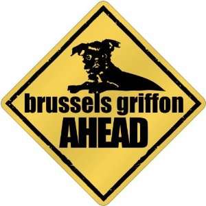  New  Brussels Griffon Bites Ahead   Crossing Dog