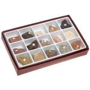American Educational 2231 15 Piece Sedimentary Rock Collection  