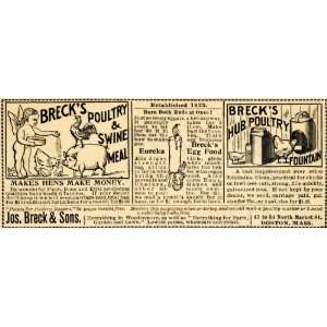  1895 Ad Jas Breck Sons Poultry Swine Meal Hub Fountain 