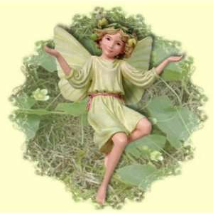  Cicely Mary Barker White Byrony Flower Fairy Everything 