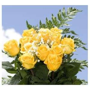 Dozen Assorted Color Roses & Fillers  Grocery & Gourmet 
