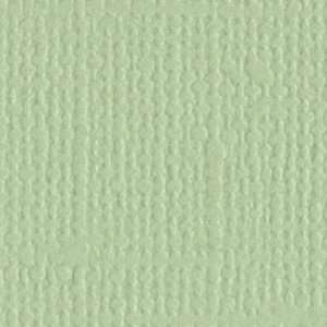   Cardstock 8.5X11 Aloe Vera/Canvas   619316 Patio, Lawn & Garden