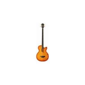  Washburn AB40VSK Acoustic Bass with Case Sunburst Musical 