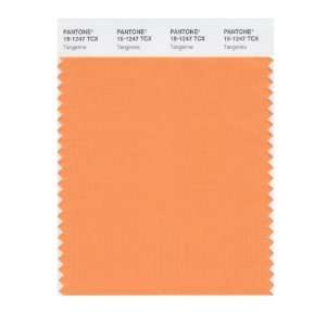  PANTONE SMART 15 1247X Color Swatch Card, Tangerine