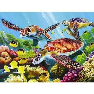  Molokini Turtles (500 Piece Puzzle) Toys & Games