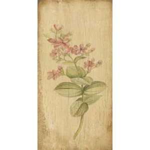  Stem Flowers Bottom Wood 2    Print