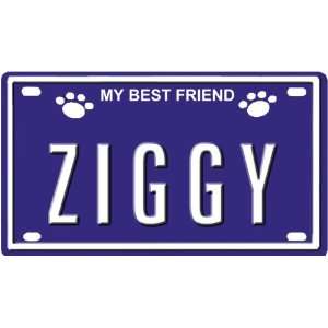  ZIGGY Dog Name Plate for Dog House. Over 400 Names 