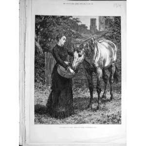  1879 FatherS Favorite Dadd Horse Lady Food Old Print