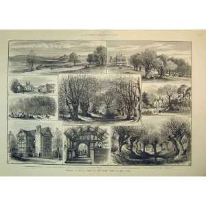  1882 Epping Forest Manor House Queen Hunting Lodge Tree 