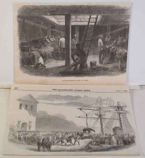 1854 Engravings   ARTILLERY HORSES ABOARD SHIP  