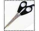 New Fashion Thinning Manicure Teeth Plum flower Scissors #8356  