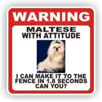 MALTESE DOG WARNING SIGN FENCE 12 X 12 POLY STYRNE  