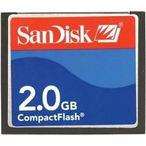  2GB Sandisk Compact Flash Memory Card (Bulk) Electronics