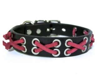 Small Designer Leather Dog Collar Grummet & suede lace   