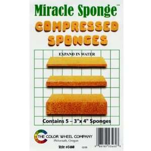  Compressed Sponges