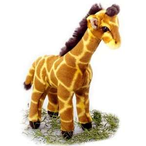  12 Baby Safari Plush Toy Giraffe Toys & Games
