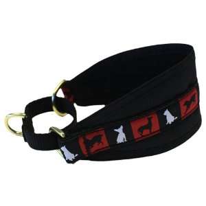   RC Pet Products Hound Collar, 16 Inch, Dog Pop O Ganda