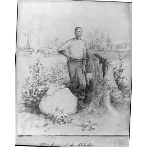  African American cottonpicker standing with filled bag of 