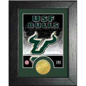  University of South Florida Framed Mini Mint Sports 