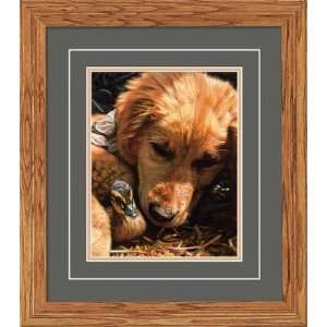  Wild Wings Sleeping With The Enemy Framed Print
