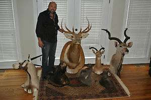 LOT OF MOUNTED AFRICAN SAFARI TAXIDERMY ANIMALS  