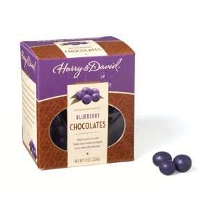Chocolate Blueberry Box 12 Count  Grocery & Gourmet Food