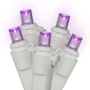com Set of 20 Battery Operated Purple LED Wide Angle Christmas Lights 