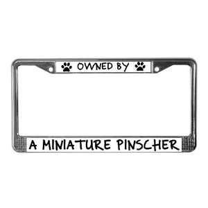  Owned by a Miniature Pinscher Pets License Plate Frame by 