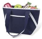 Picnic at Ascot Navy Canvas Insulated Lunch Bag Purse