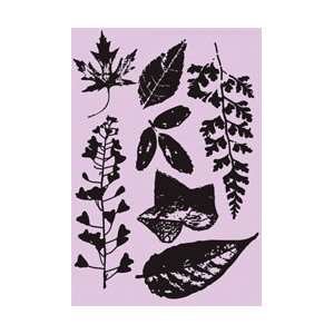  Royal Brush Mini Clear Choice Stamps Pressed Leaves MINCCS 102 