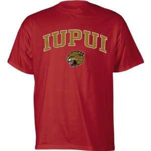  IUPUI Jaguars Perennial T Shirt