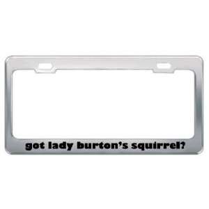 Got Lady BurtonS Squirrel? Animals Pets Metal License Plate Frame 