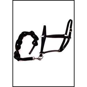  COMFORT  ABLE HALTER (LEATHER)