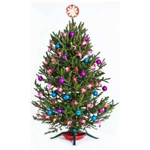 Vinyl Wall Graphics Christmas Tree Cling with Pink Flamingos Full Size 