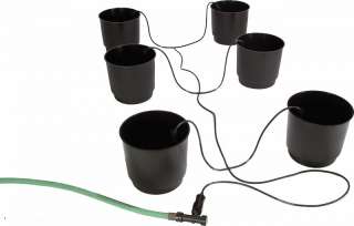 NEW Eco 6 Pack Growing System Eco Hydroponic Grow System  