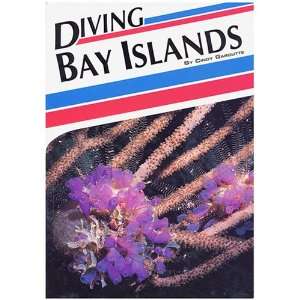 Diving Bay Island, By Cindy Garoutte 