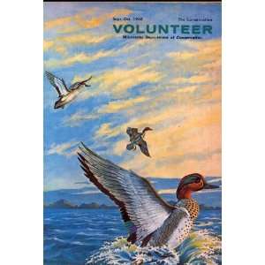 The Minnesota Conservation Volunteer  Department of Natural Resources 