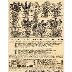  1892 Ad John Lewis Childs Winter Flower Bulb Varieties 