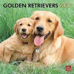  2012 Golden Retrievers Calendar