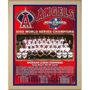  Los Angeles Angels Of Anaheim World Series Championship Team Photo 