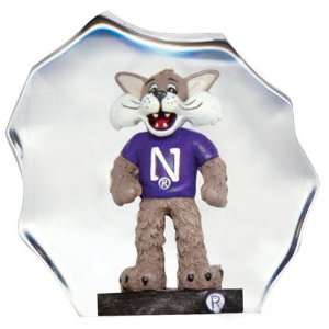  Northwestern Wildcats Desk Paperweight