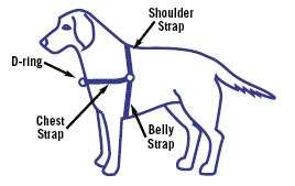 EASY WALK HARNESS Gentle Leader Dog Choose size color  