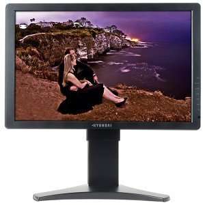  U220WDP 22 1920 x 1200 10001 Widescreen LCD Monitor 