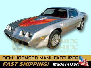 1978 1979 1980 1981 Firebird Trans Am Decal Stripe Kit  